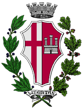 Logo Comune di Città di Castello