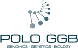 Logo Polo GGB